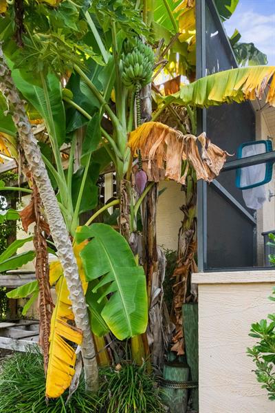 Image 87 of 98 For 144 Cochise Ct