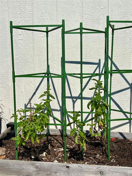 Image 89 of 98 For 144 Cochise Ct