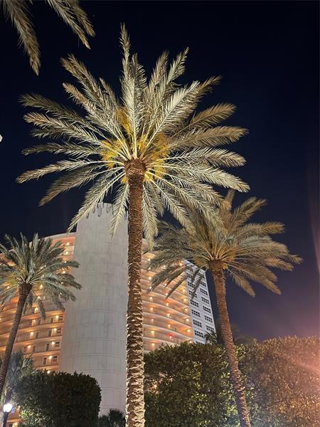 Image 64 of 69 For 4100 Galt Ocean Dr  306