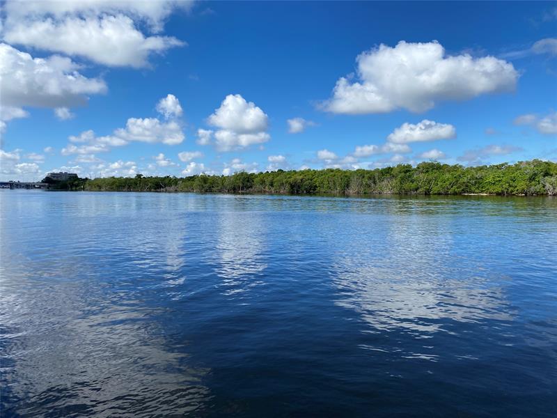 Image 69 of 70 For 4740 Ocean Boulevard  616