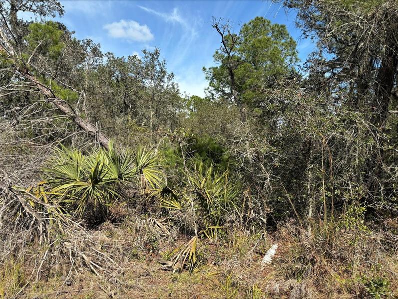 Details for 0 Jackson St, Lake Wales, FL 33898