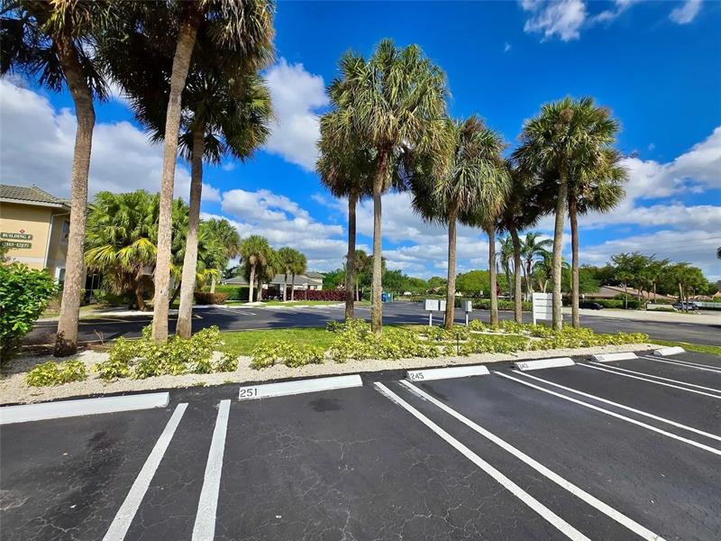 Image 22 of 22 For 12069 Royal Palm Blvd