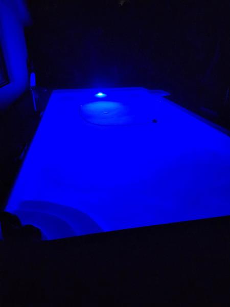 Image 50 of 51 For 3508 Wildflower Dr