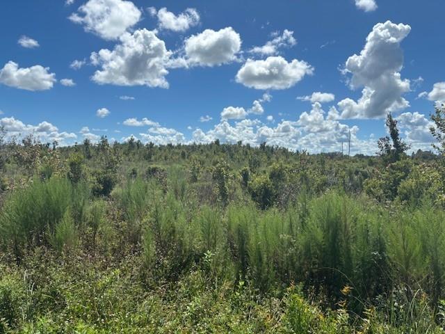 Details for 16072 304th St, Okeechobee, FL 34972