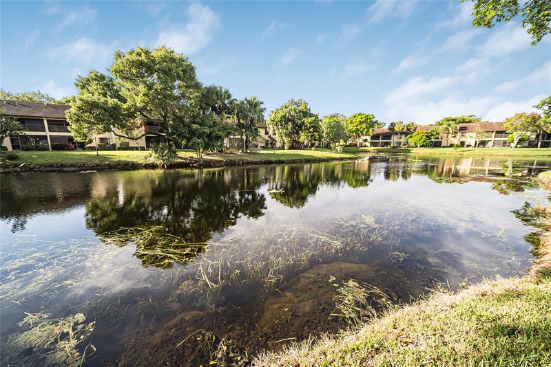 Image 3 of 51 For 3039 Carambola Cir  3039