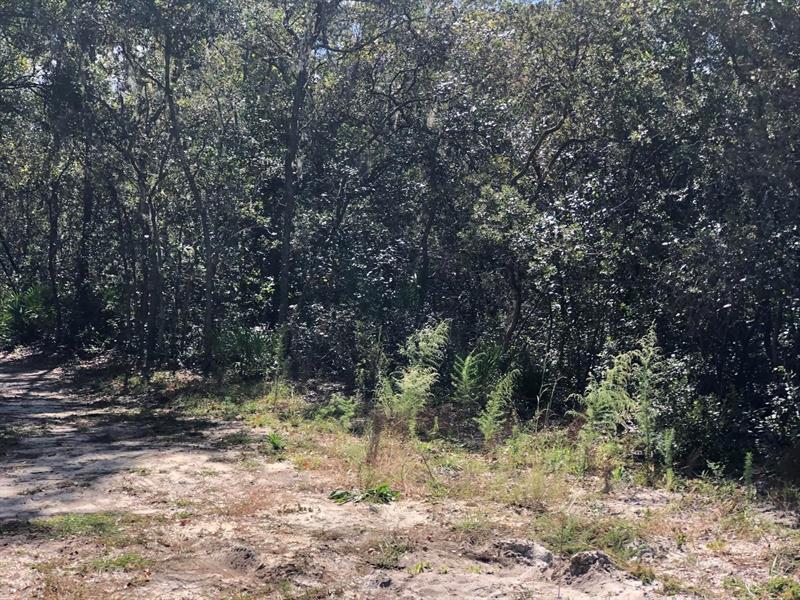 Details for 0 Oregon St  , Interlachen, FL 32148