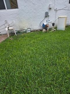 Image 6 of 28 For 10901 33rd St