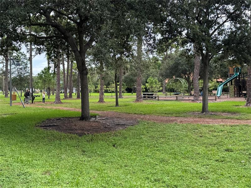 Image 14 of 22 For 911 15th Ter  1