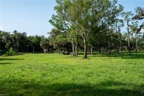 Image 3 of 10 For 2115 Cr 78 Rd