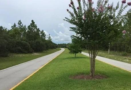 Image 4 of 5 For 131 Cypress Blvd