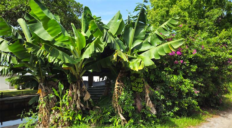 Image 13 of 41 For 28 Peaceful Pl