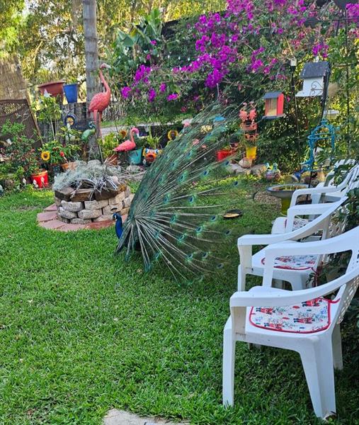 Image 4 of 41 For 28 Peaceful Pl