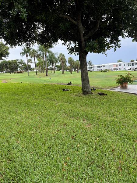 Image 6 of 22 For 2851 Golf Blvd  107