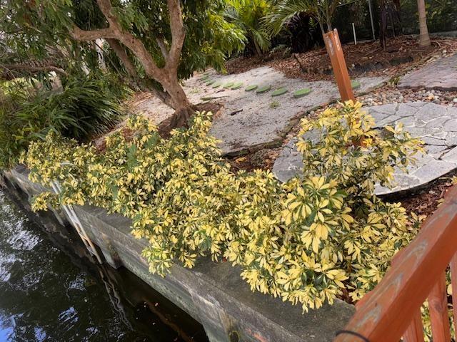 Image 7 of 44 For 1951 36th St