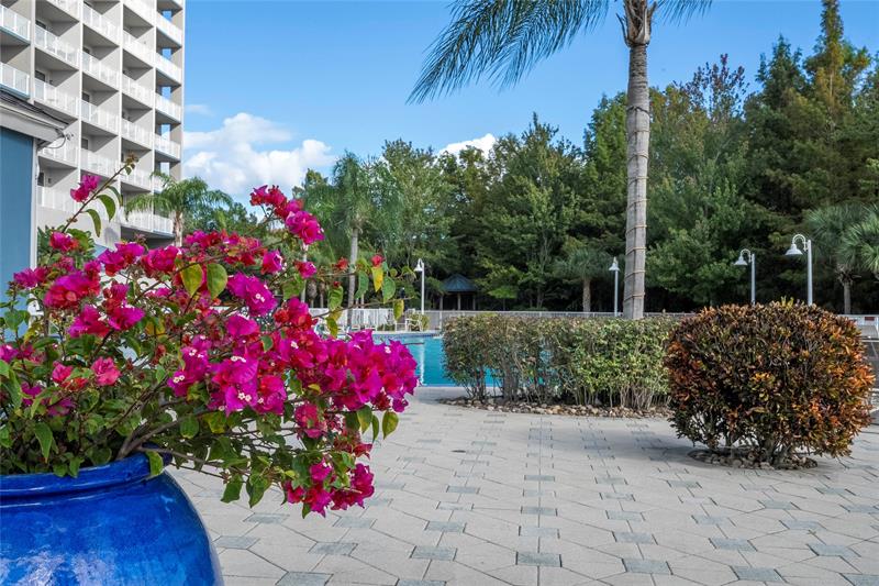 Image 22 of 88 For 13415 Blue Heron Beach Dr  910