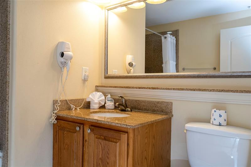 Image 41 of 88 For 13415 Blue Heron Beach Dr  910