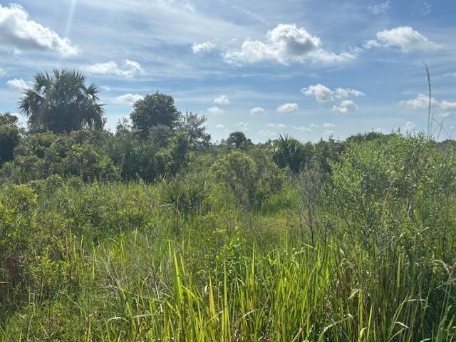 Details for 0 312th St  , Okeechobee, FL 34972