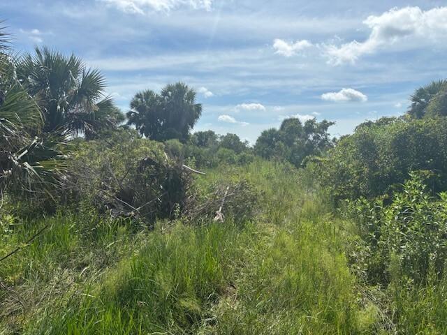 Details for 0 312th St  , Okeechobee, FL 34972