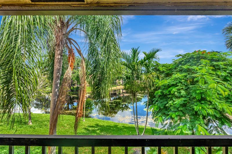 Image 6 of 40 For 3161 Carambola Cir  2381