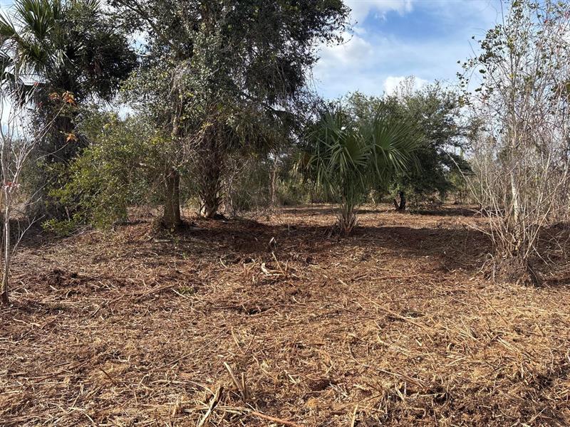 Image 2 of 4 For 0 296th St  