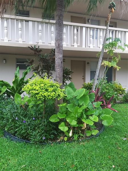 Image 13 of 20 For 4700 Washington St  108