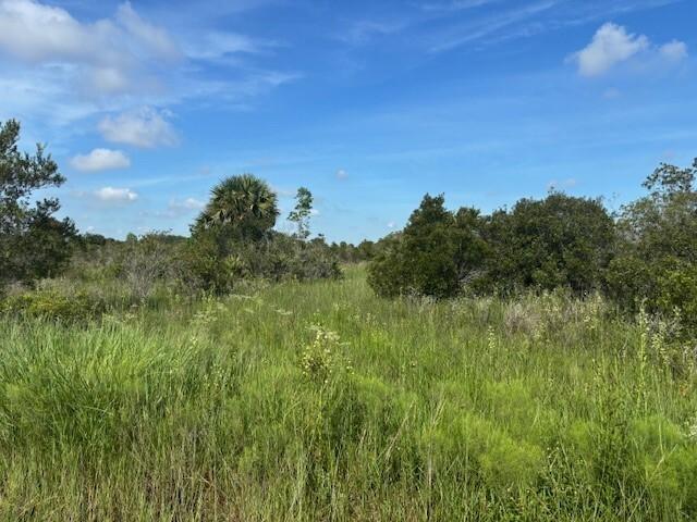 Details for 0 310th St  , Okeechobee, FL 34972