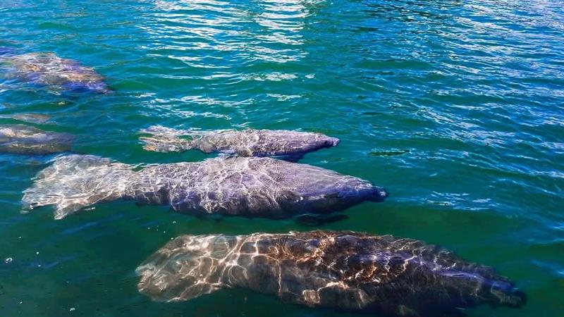 Image 28 of 30 For 1401 Riverside Dr  705