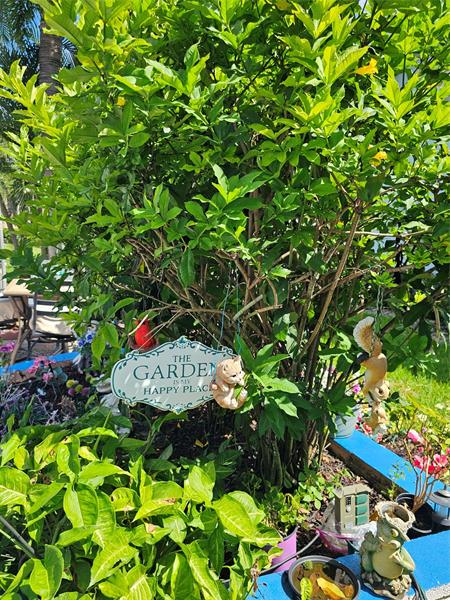 Image 17 of 29 For 147 Salisbury G  147