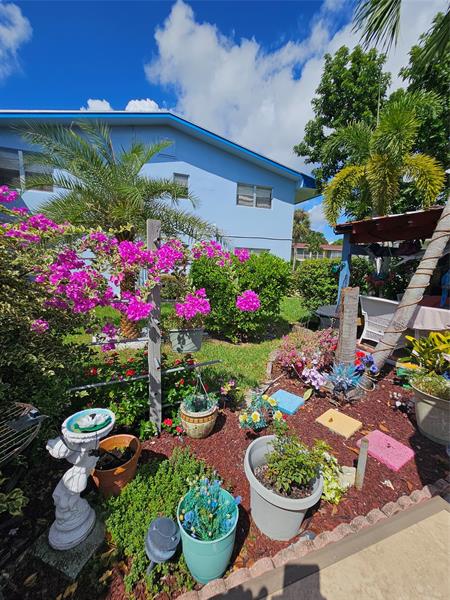 Image 20 of 29 For 147 Salisbury G  147