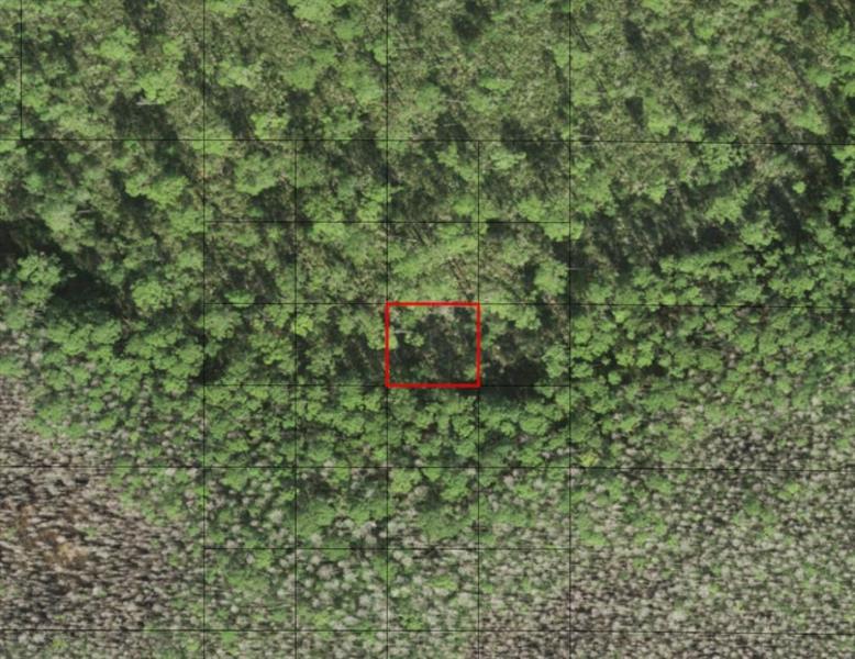 Listing Details for 0 Holopaw Groves Rd, St. Cloud, FL 34772