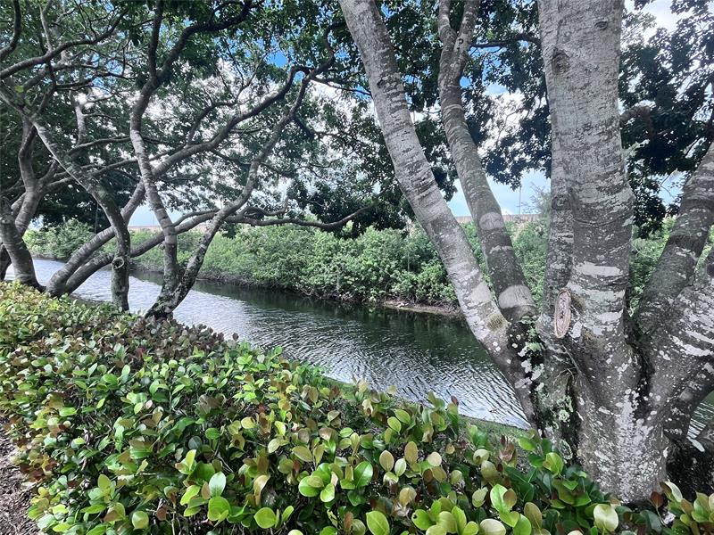 Image 5 of 26 For 10549 57th Ct  10549