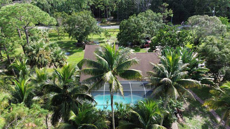 Image 19 of 46 For 9795 Whippoorwill Trl