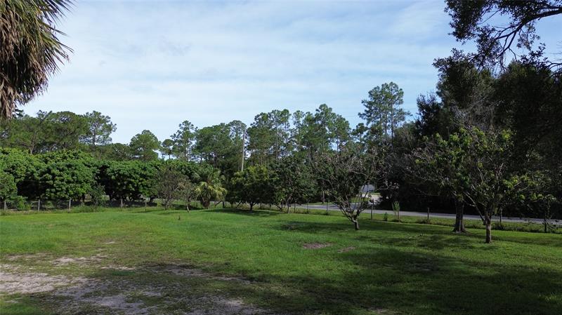 Image 21 of 46 For 9795 Whippoorwill Trl