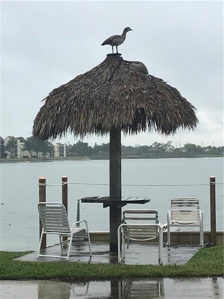 Image 45 of 61 For 112 Lake Emerald  206