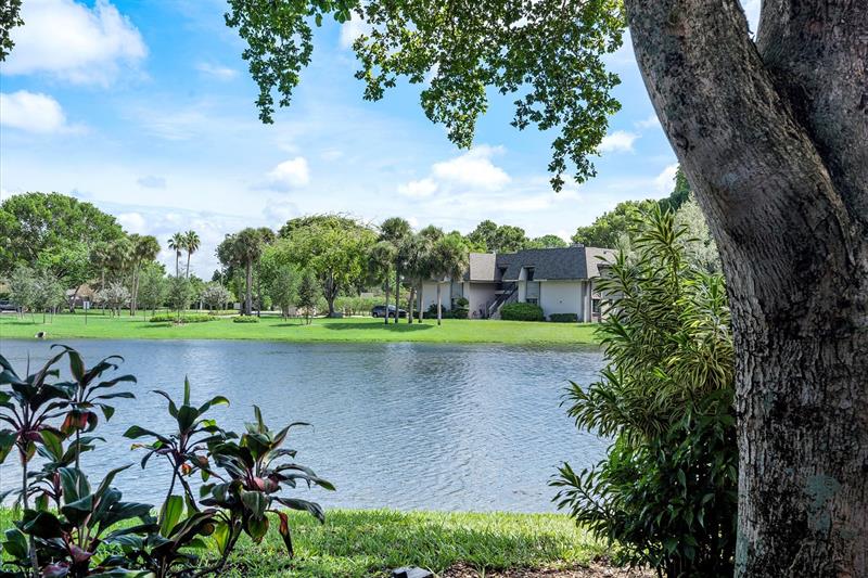 Image 20 of 29 For 3550 95th Ter  3s