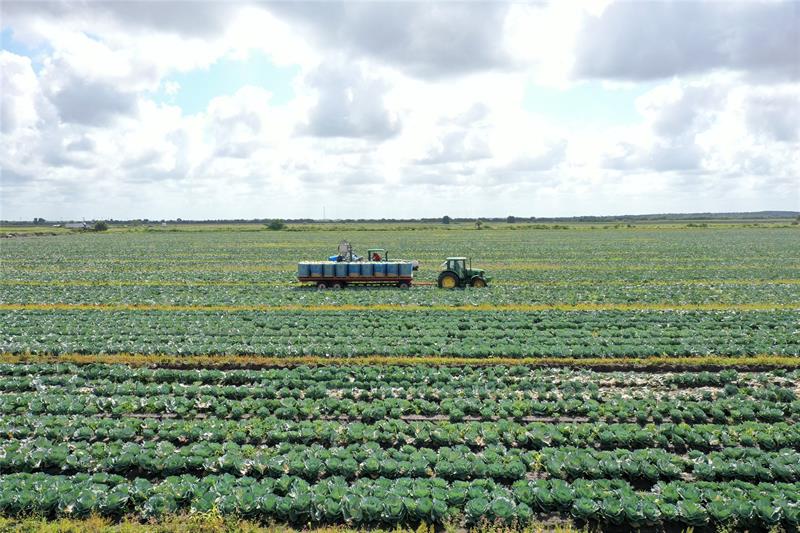 Image 2 of 3 For 23481 144th Ave