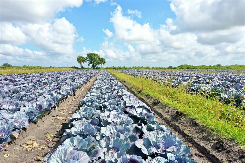 Image 3 of 3 For 23481 144th Ave