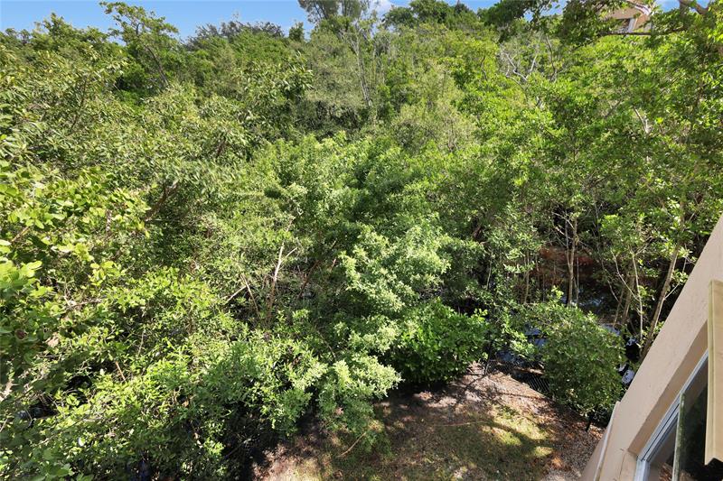 Image 18 of 28 For 529 Sheridan St  3081