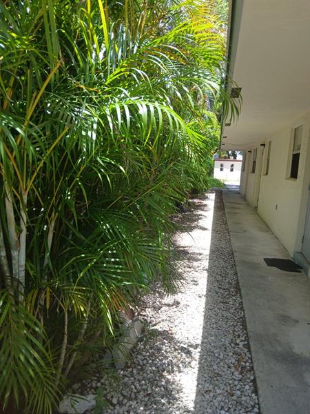 Image 19 of 20 For 274 9th St  2