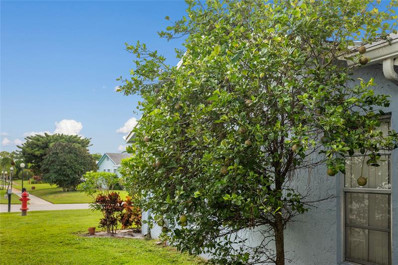 Image 18 of 21 For 6301 Silver Moon Ln
