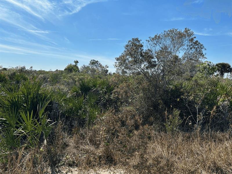 Details for 0 308th St  , Okeechobee, FL 34972