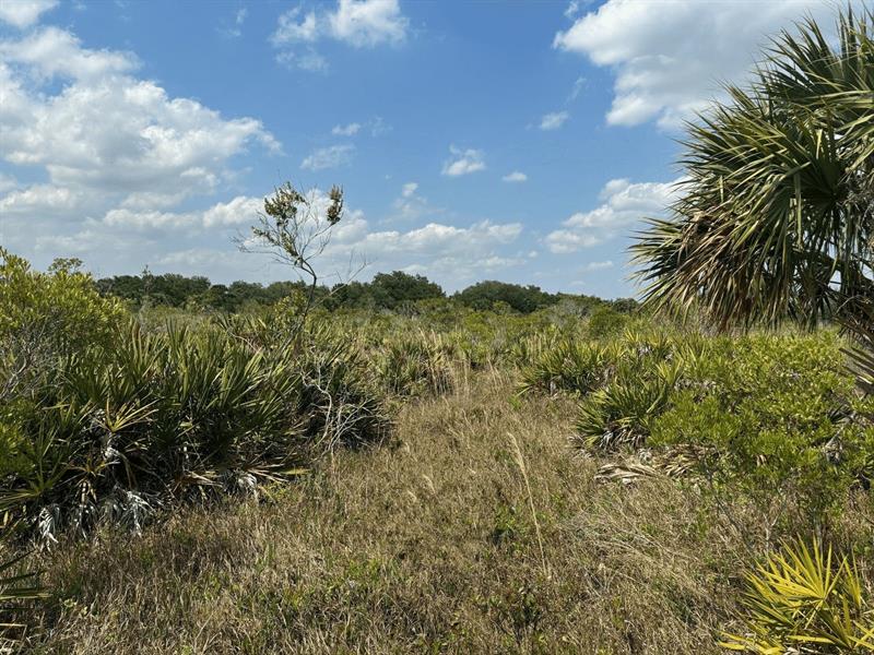 Details for 0 306th St  , Okeechobee, FL 34972