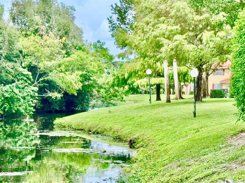 Image 36 of 41 For 3590 University Dr  V-6