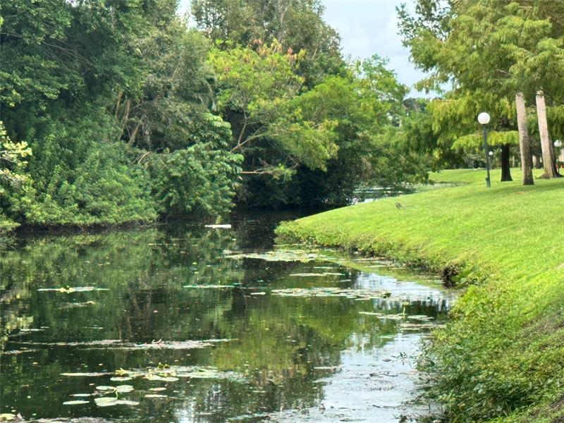 Image 37 of 41 For 3590 University Dr  V-6