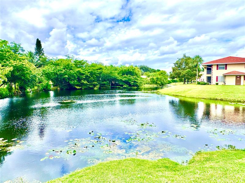 Image 39 of 41 For 3590 University Dr  V-6