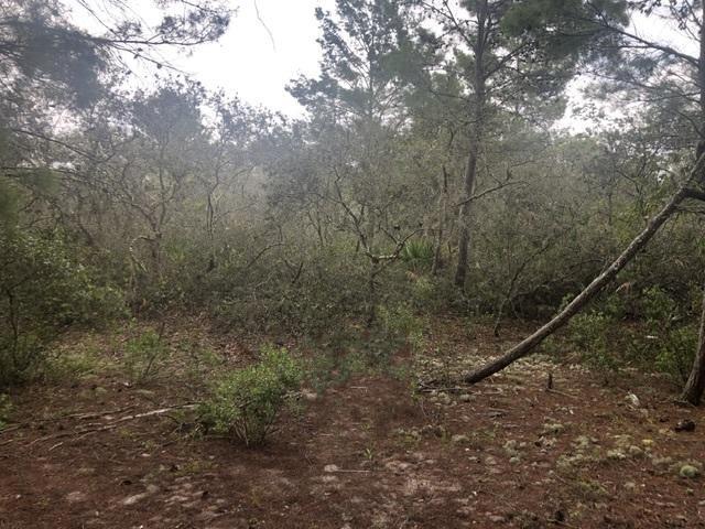 Image 2 of 2 For 0 Alturas Babson Park Cutoff Rd