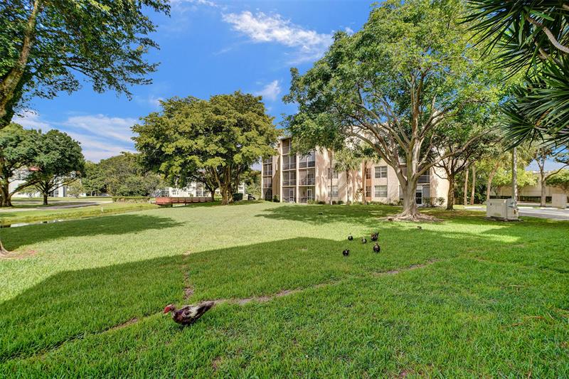 Image 6 of 25 For 9481 Evergreen Pl  103