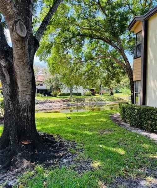 Image 3 of 22 For 4529 Carambola Cir  4529