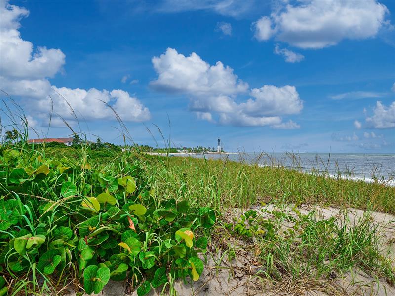 Image 39 of 71 For 1610 Ocean Blvd  304