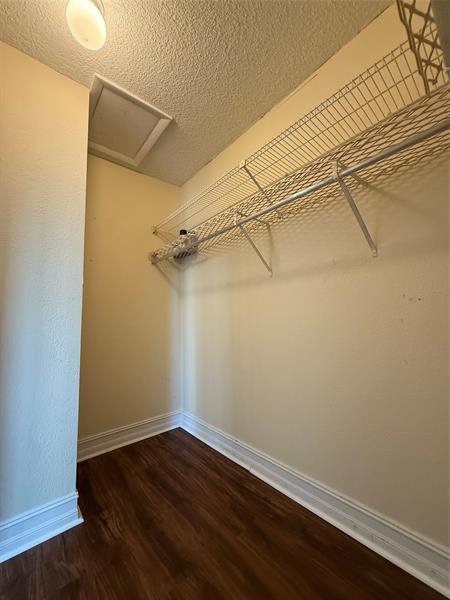 Image 29 of 40 For 3656 Citrus Trce  4